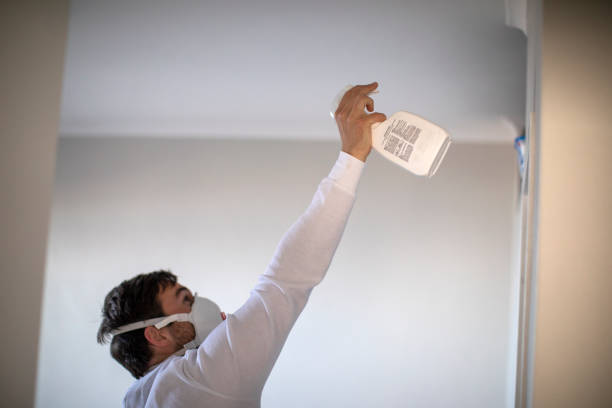 Best Residential Mold Remediation in Lindale, GA