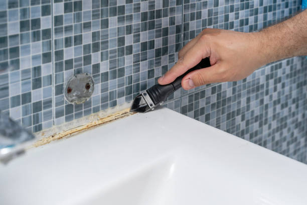 Best Commercial Mold Remediation in Lindale, GA